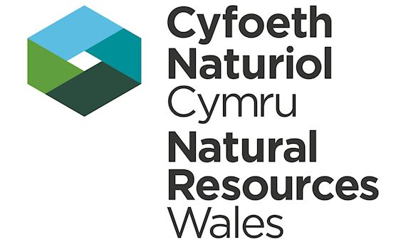 NRW Logo / Cwmni Logo y NRW