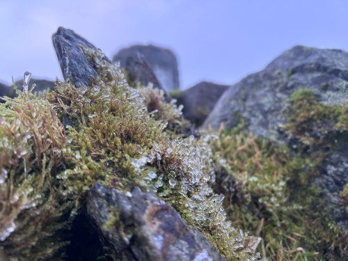 Rhewllyd wrth y copa