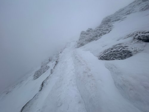 PyG/miners' path looking serious