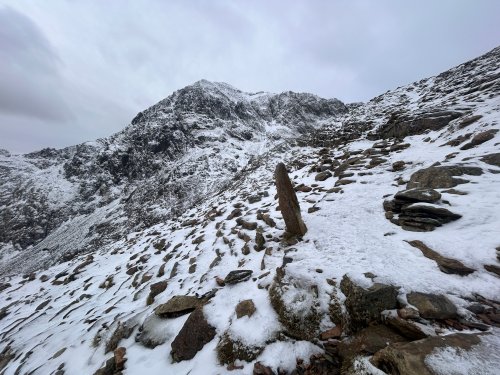 Miners' path joins the PyG